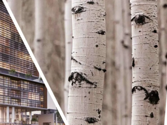 Birch Condos & Towns at Lakeview Village