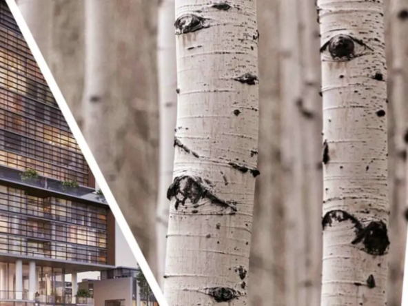 Birch Condos & Towns at Lakeview Village