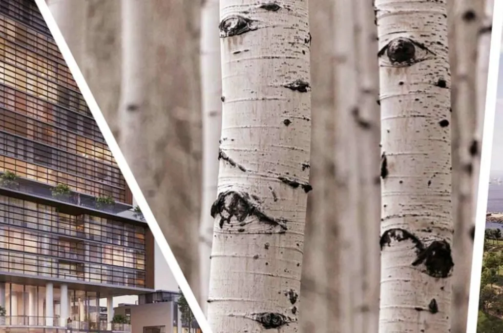 Birch Condos & Towns at Lakeview Village