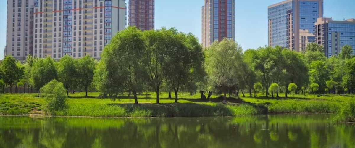 The Rise Of Green Buildings In Canadian Real Estate