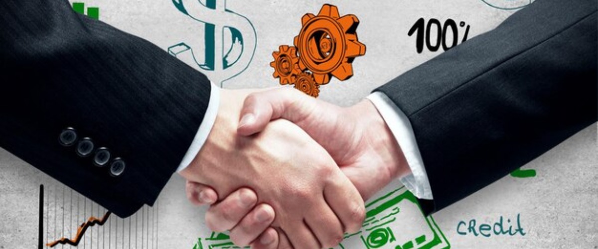 Business Plans and Helping Hands: New Options for Novice Investor