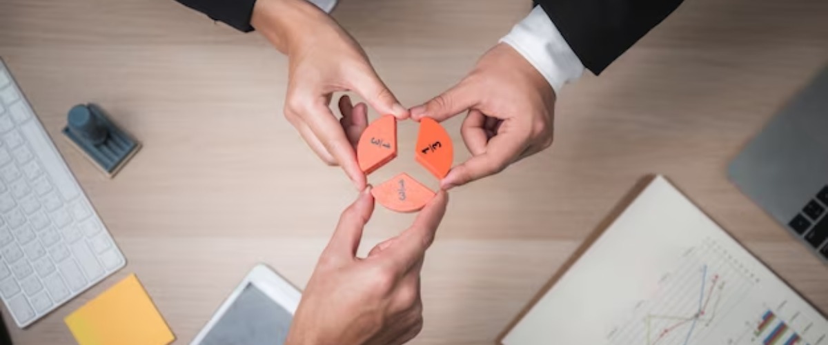 Business Plans and Helping Hands: New Options for Novice Investor