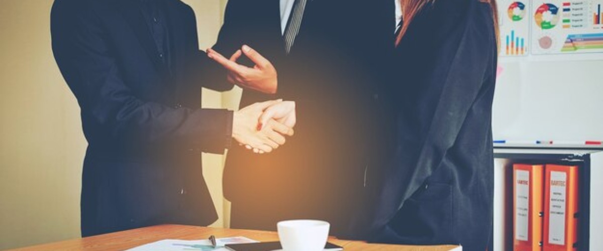 Business Plans and Helping Hands: New Options for Novice Investor