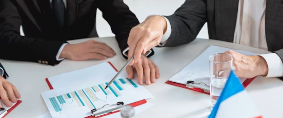 Business Plans and Helping Hands: New Options for Novice Investor