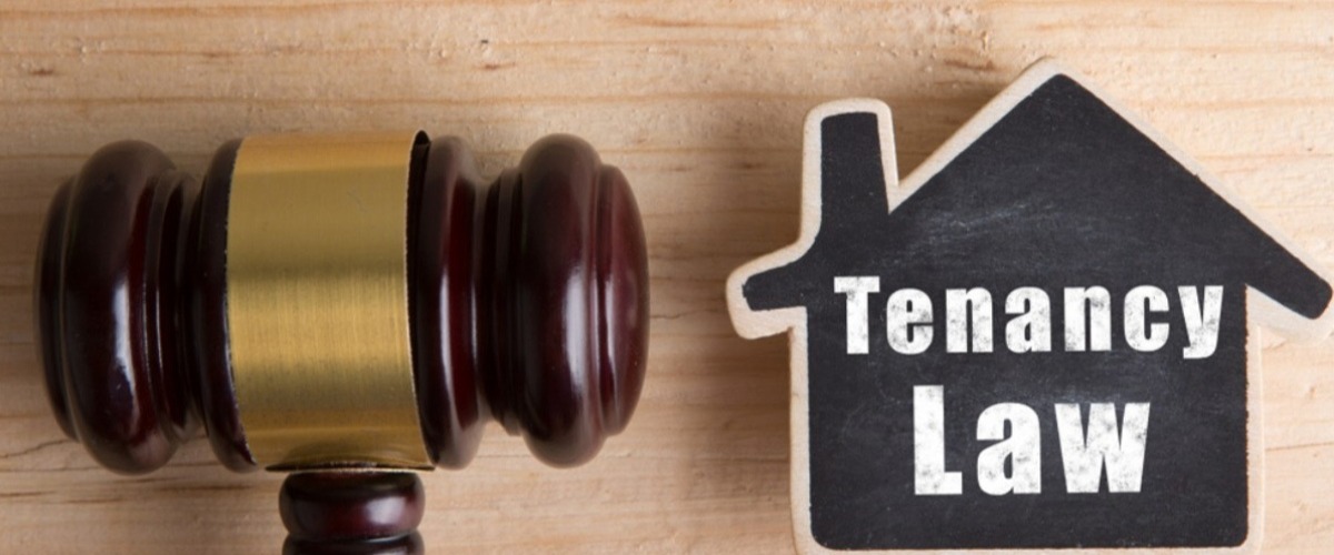 Navigate Repairs & Damage In Canadian Rentals – Landlord vs Tenant Duties