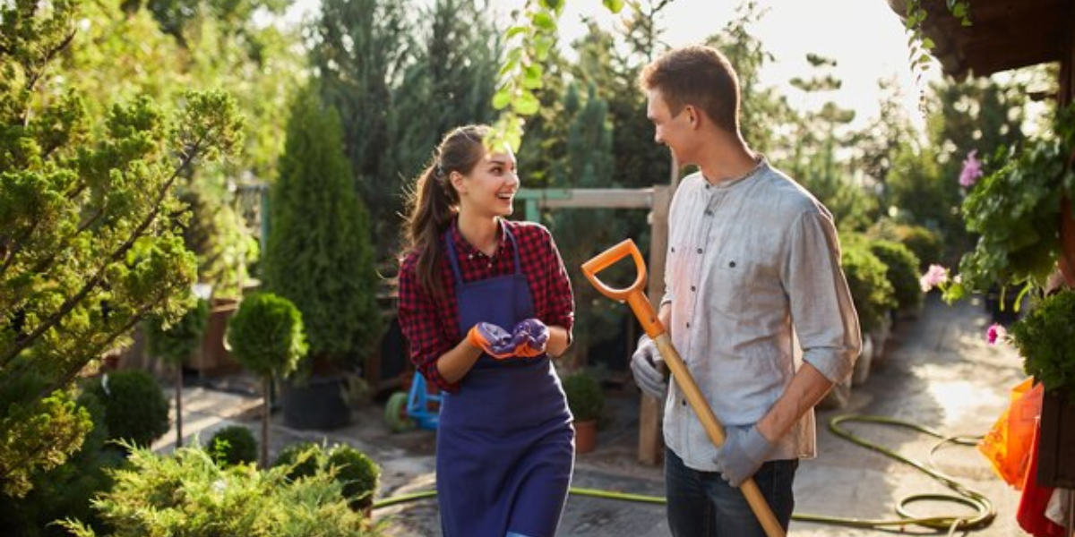 Backyard Renovations To Increase Rental Income
