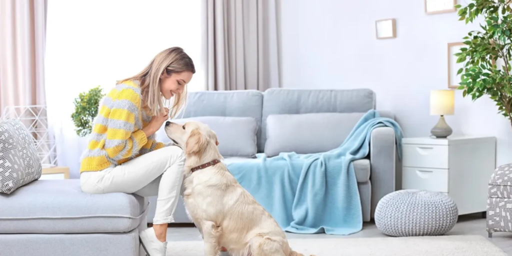 Living In Your Condo With A pet